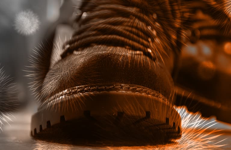 Unsere Gesundheit schützen und Schuhe vor der Wohnung ausziehen