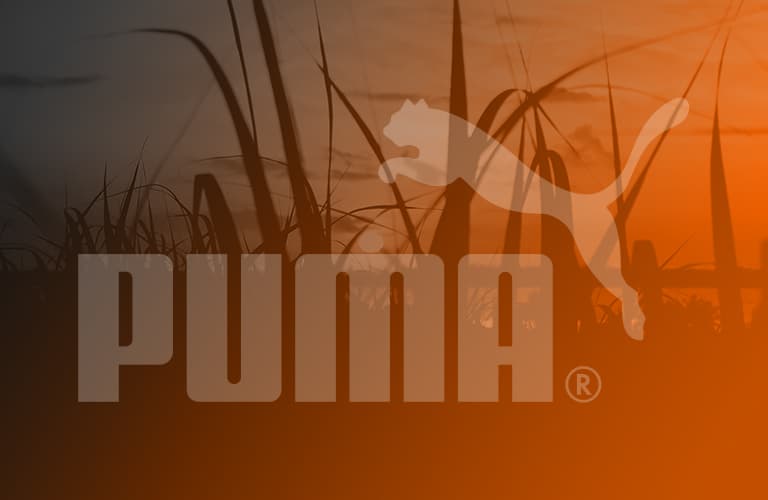Einzigartig: Puma plant nachhaltigere Schuhmodelle aus Zuckerrohr